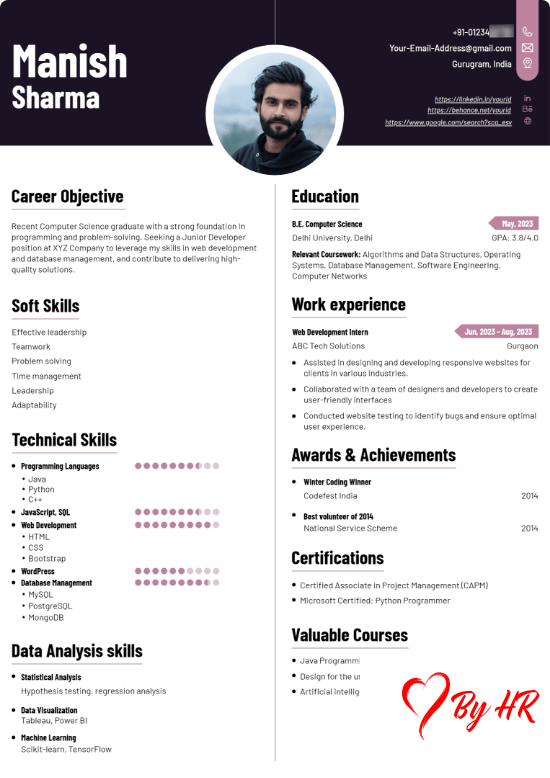 Resume template